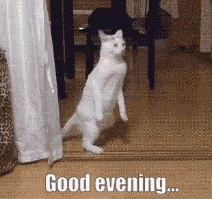 Dinner Good Evening GIF