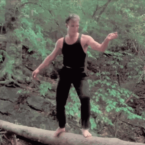 Dirty Dancing Dirty Dancing Movie GIF