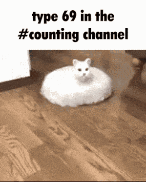 Discord Counting GIF