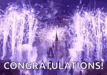 Disneyland Fireworks GIF