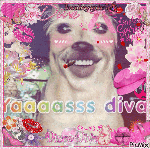Diva Pruppl GIF