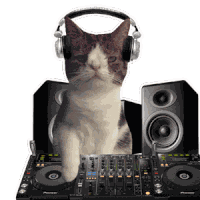 Dj Sticker