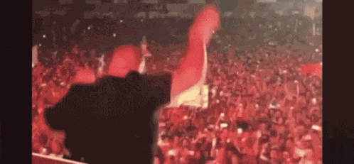 Dj Khaled Edc GIF