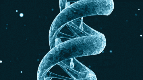 Dna Deoxyribonucleic Acid GIF