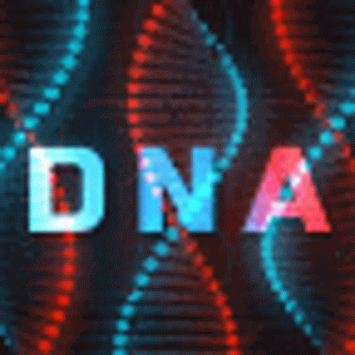 Dna Discord GIF