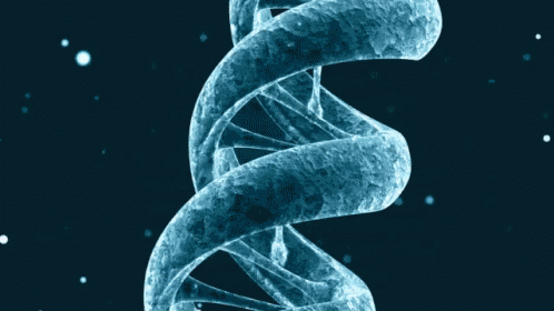Dna Up Close GIF