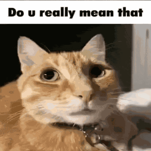 Do You Really Mean That Do You Mean That Meme