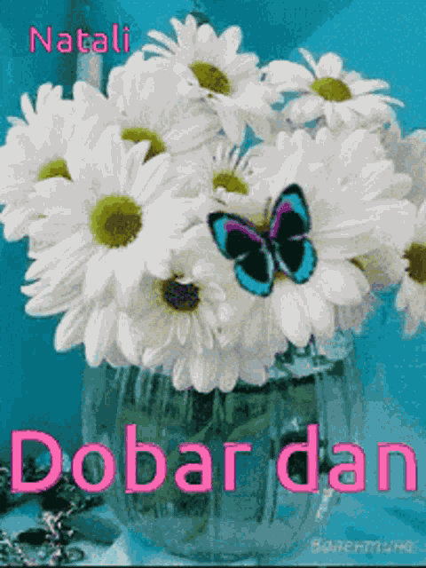 Dobar Dan GIF