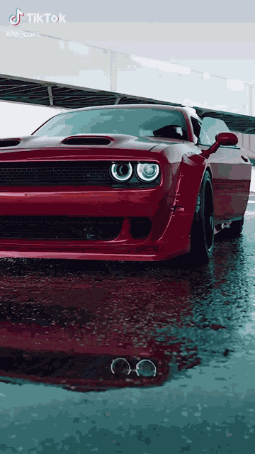 Dodge GIF