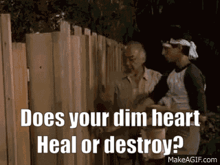 Does Your Dim Heart Heal Or Destroy Dmc GIF