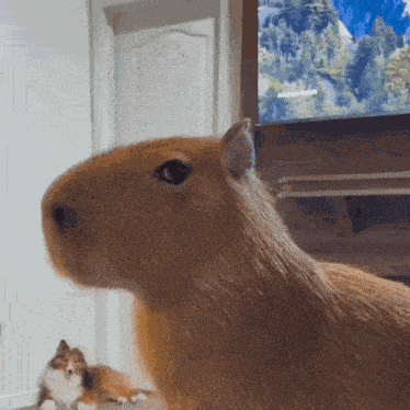 Doesnt Care Side Eye GIF