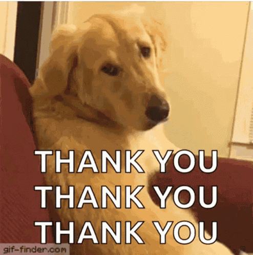Dog Bark GIF