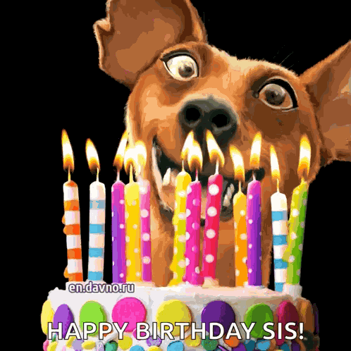 Dog Birthday GIF