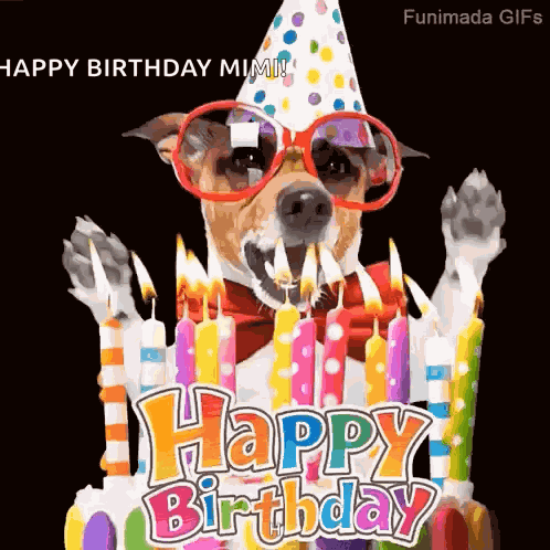 Dog Birthday GIF