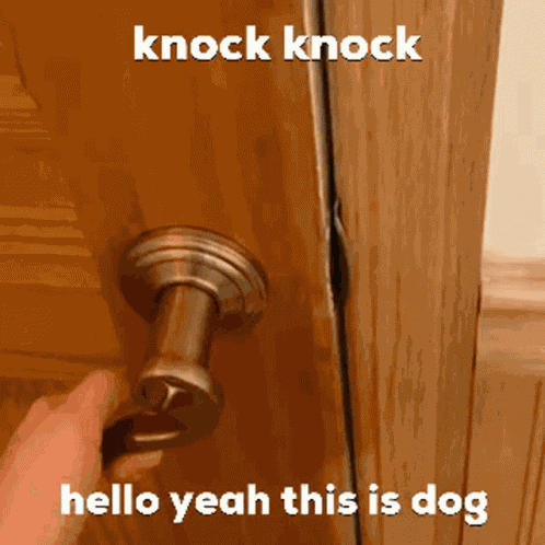 Dog Cierra GIF