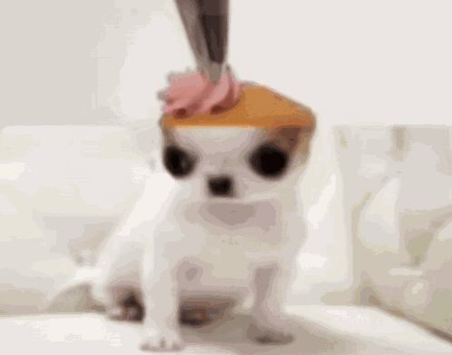 Dog Cupcake GIF