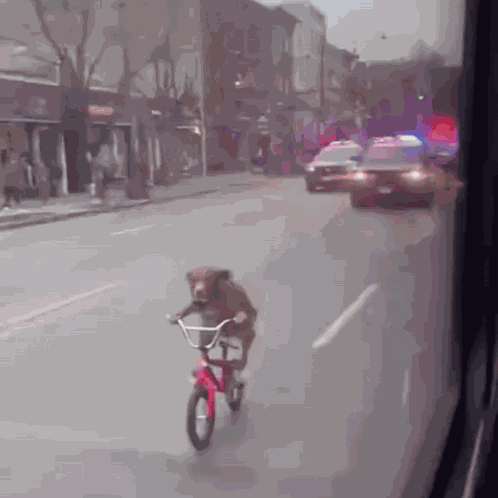 Dog Cycling GIF