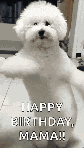 Dog Dance GIF