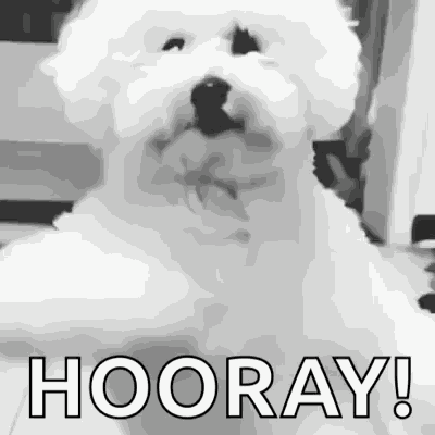 Dog Dancing GIF