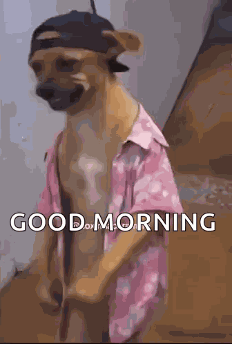 Dog Dog Walking GIF