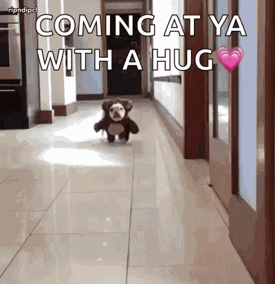 Dog Doggo GIF