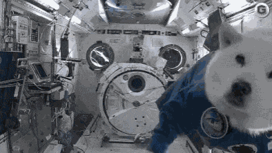Dog Flying In Space Station Dog Floating GIF