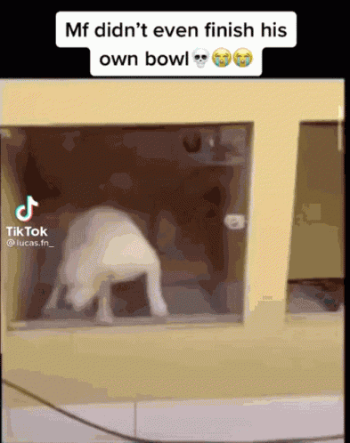 Dog Gone Cracked GIF