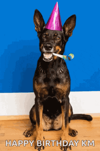 Dog Horn GIF