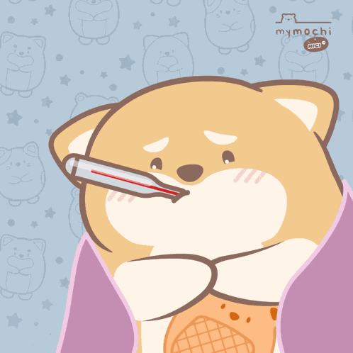 Dog Hund GIF