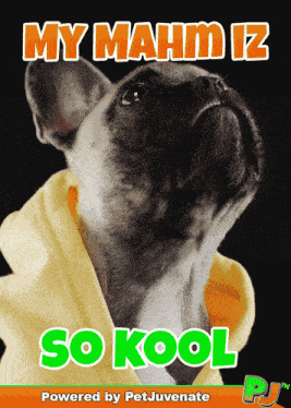 Dog Mom Fun Gif Doggo Mahm Love Cuddle Up Cute Gif GIF