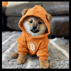 Dog Ordinalsmedia GIF