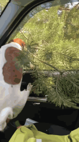 Dog Pulling Tree GIF