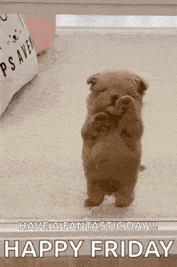 Dog Puppy GIF