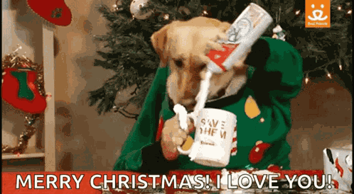 Dog GIF
