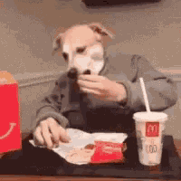 Dog Selfie Taxes GIF