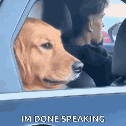 Dog Side Eye Rolling Window Up GIF