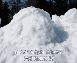 Dog Snowiscoming GIF