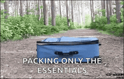 Dog Suitcase GIF