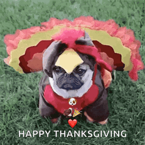 Dog Turkey Costume GIF