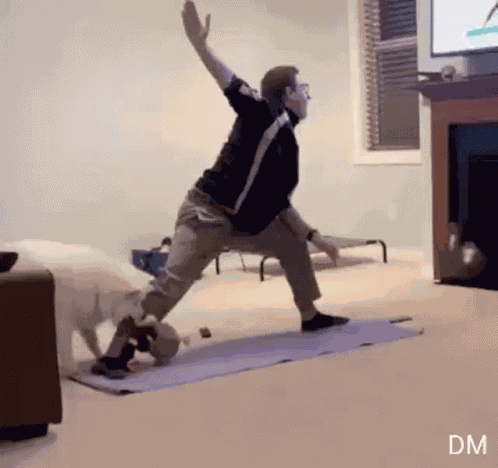 Dog Yoga GIF