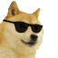 Doge Cool Sticker