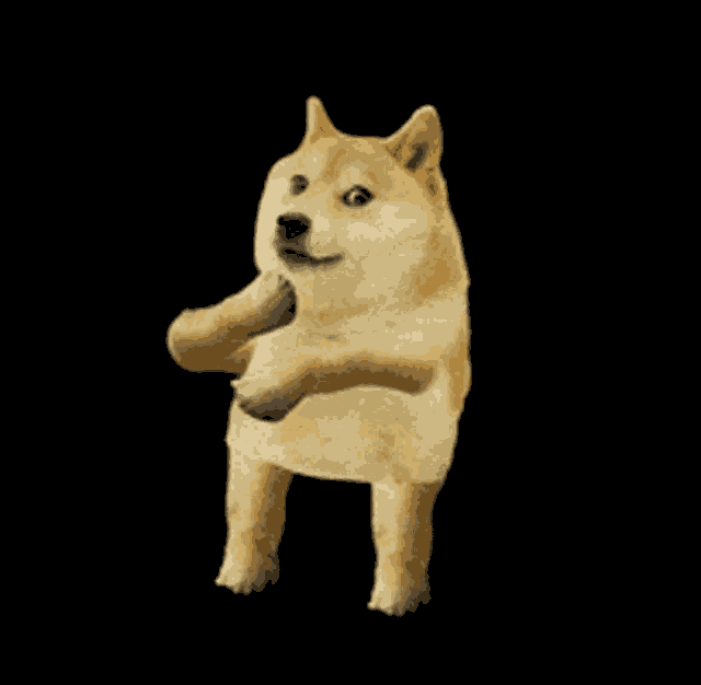 Doge Dancing Doge GIF