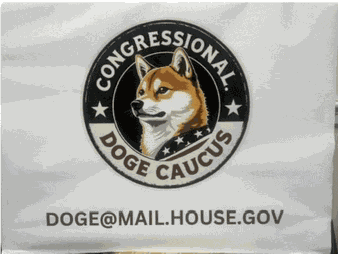 Doge Doge Congressional Caucus Meme