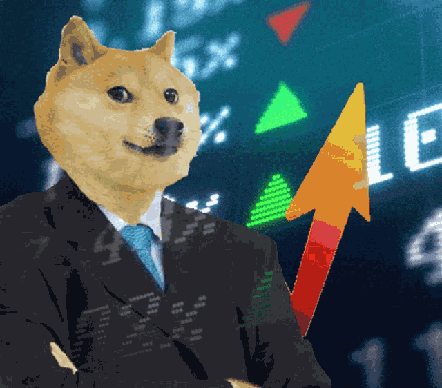Doge Dogecoin GIF