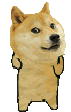 Doge Sticker