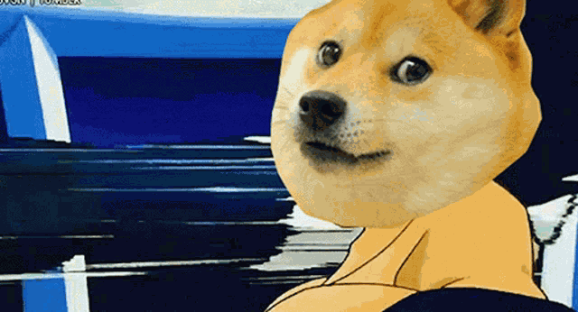 Doge Fud Dodge Fud GIF