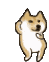 Doge Sticker