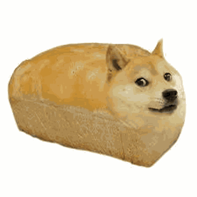 Doge Meme Meme