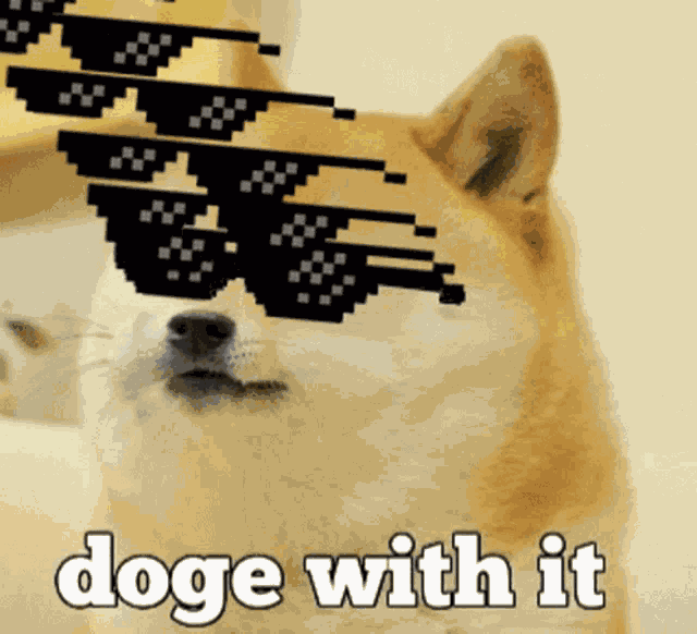 Doge Meme GIF