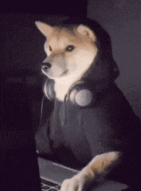 Doge Side Eye Gamer Doge GIF